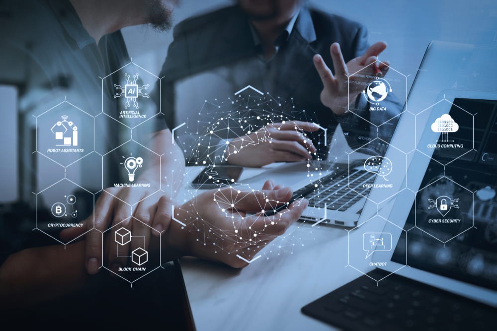 Project & program management (PMP-certified teams, lifecycle support